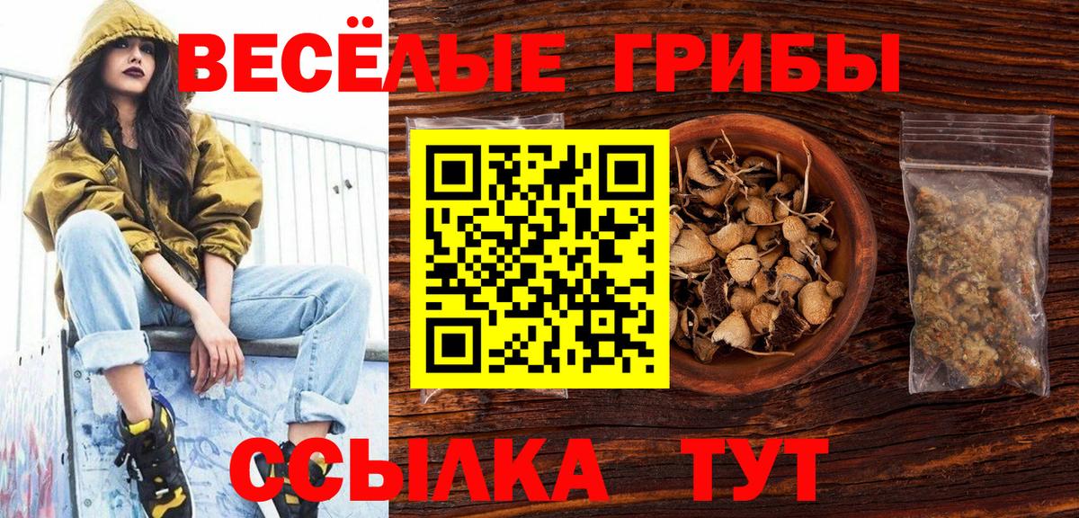 Галлюциногенные грибы Psilocybine cubensis Искитим