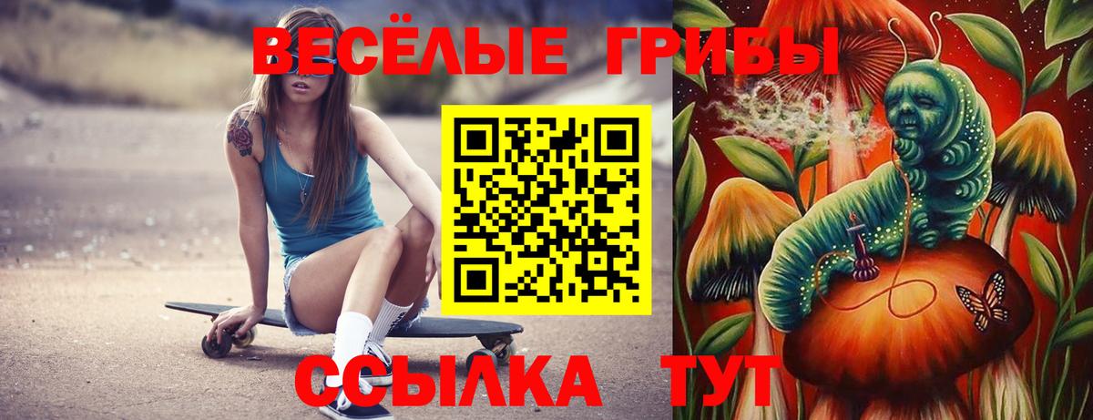 Искитим  Галлюциногенные грибы Psilocybe  Вход с VPN  где найти наркотики  Галлюциногенные грибы GOLDEN TEACHER 